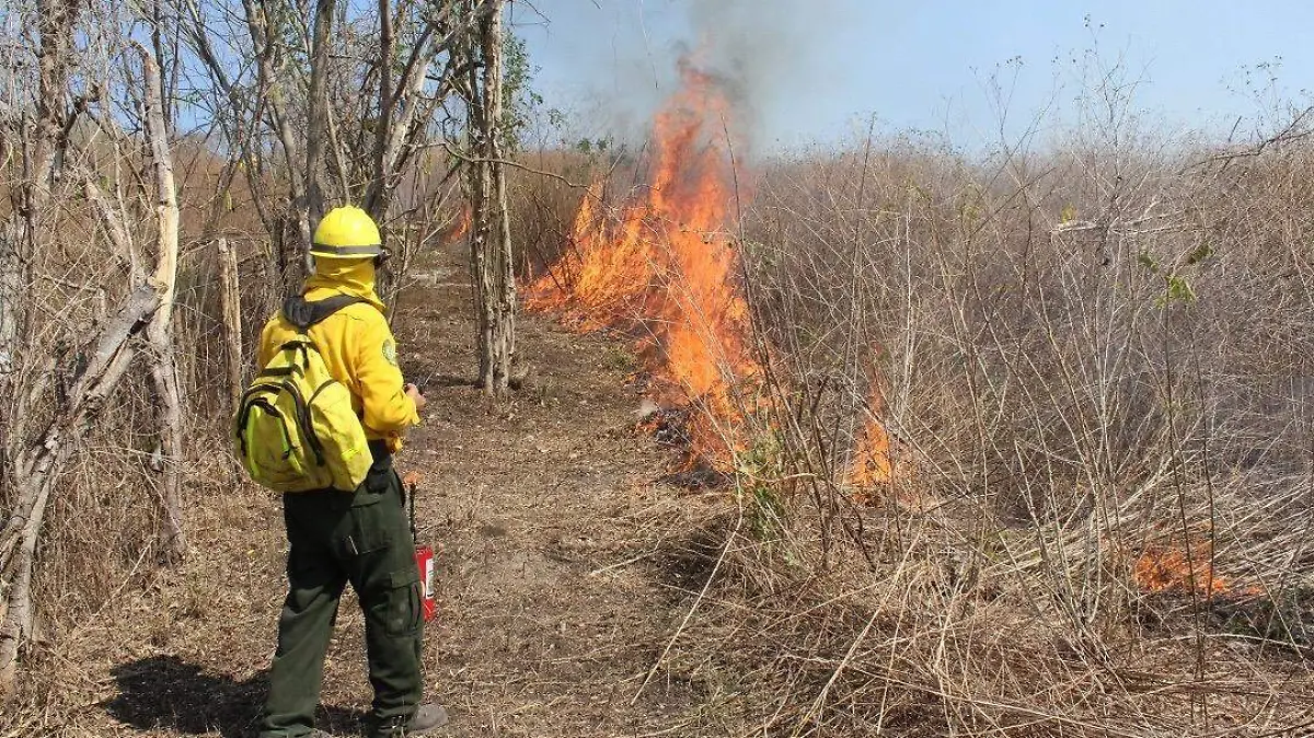 12 incendios en Colima en temporada de estiaje